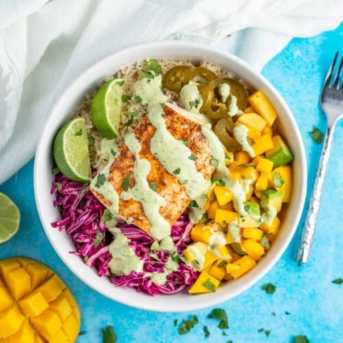 Snapper Fish Bowl.